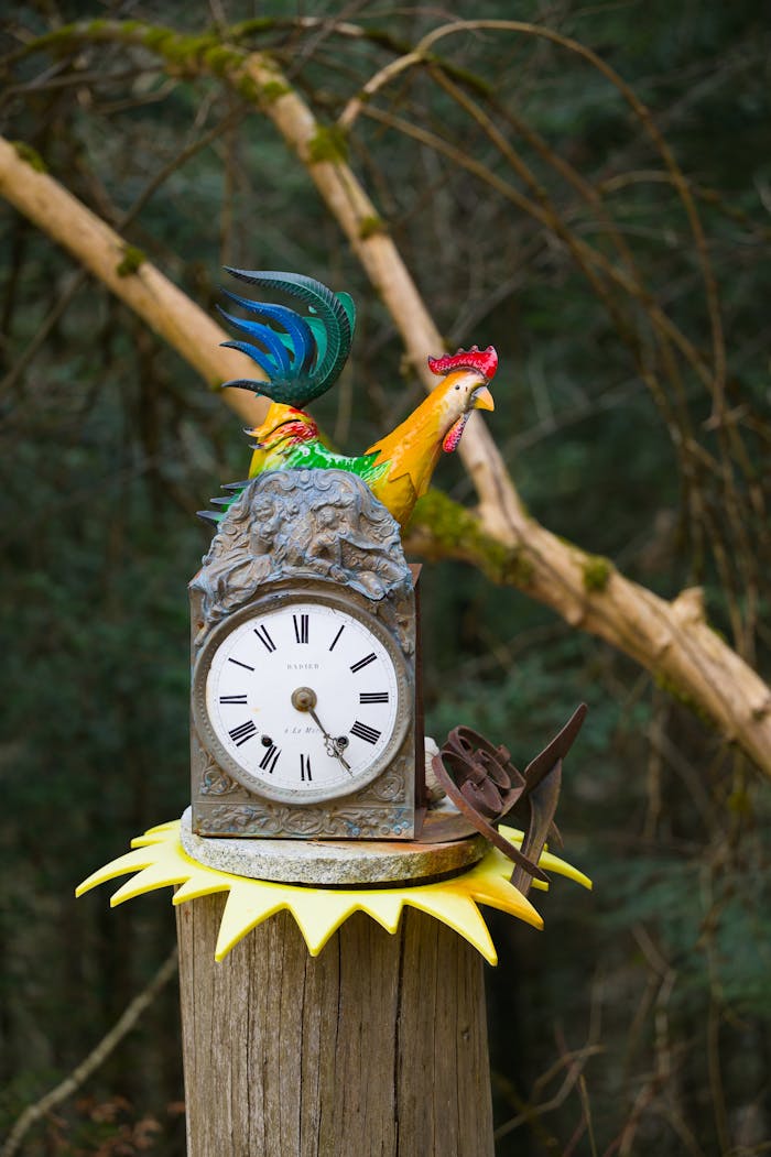 Colorful rooster-shaped clock mounted on a wood post in a lush forest.